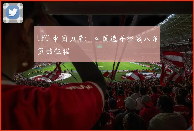 UFC 中国力量:中国选手征战八角笼的征程