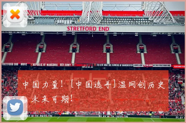 中国力量！[中国选手]温网创历史，未来可期！