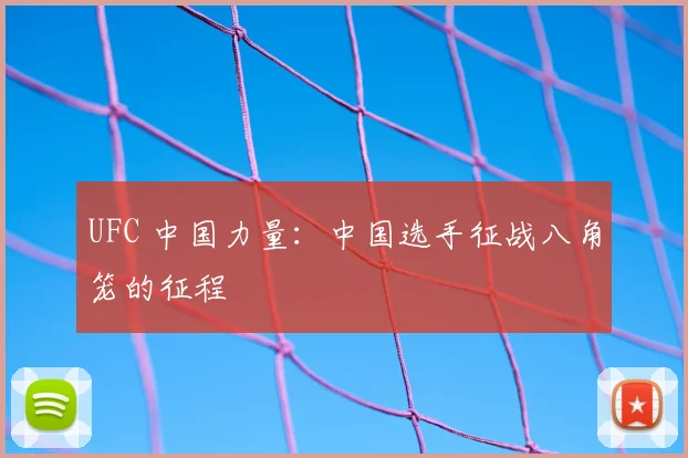UFC 中国力量：中国选手征战八角笼的征程